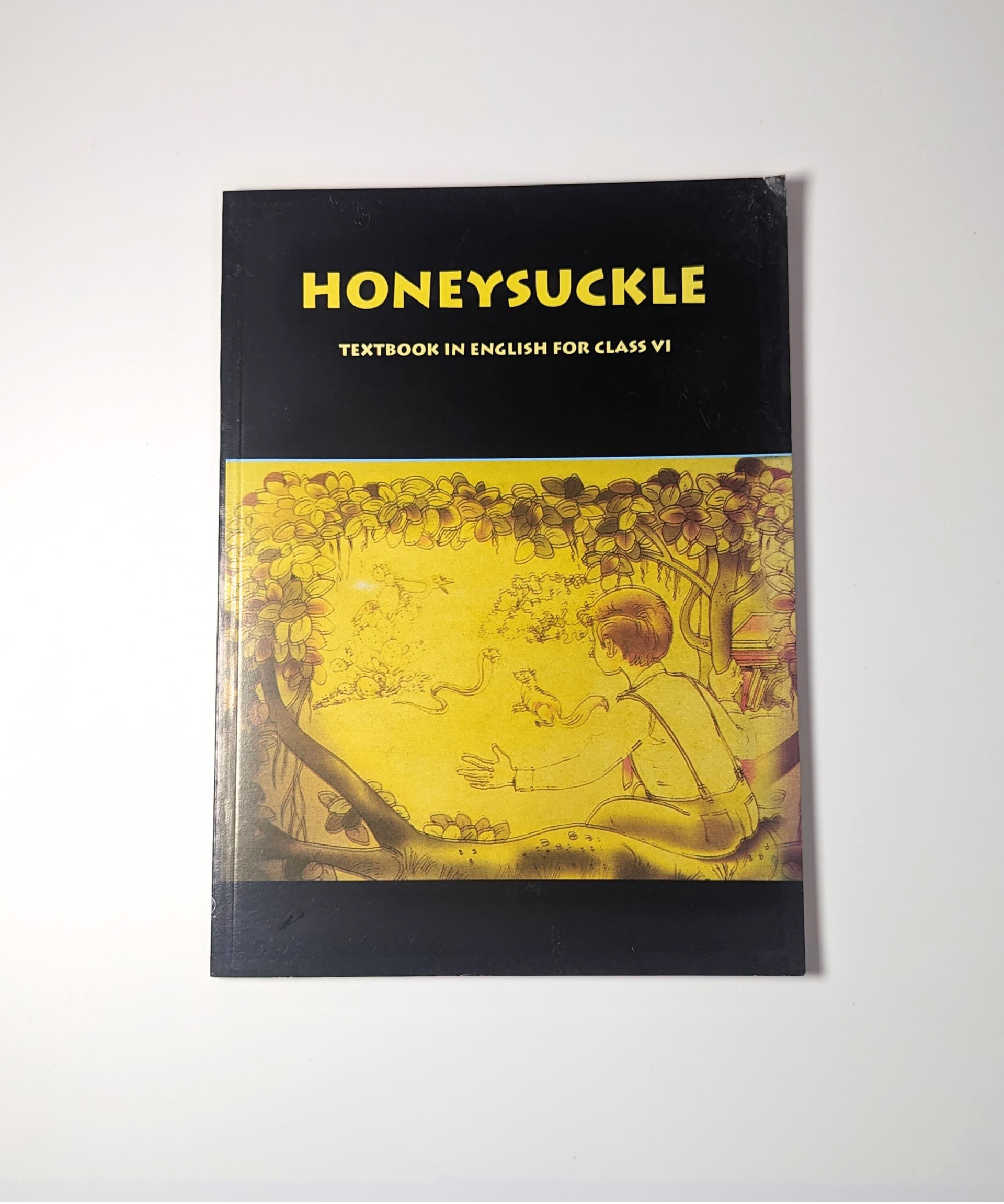 Class VI - English Honey Suckle - NCERT Textbook