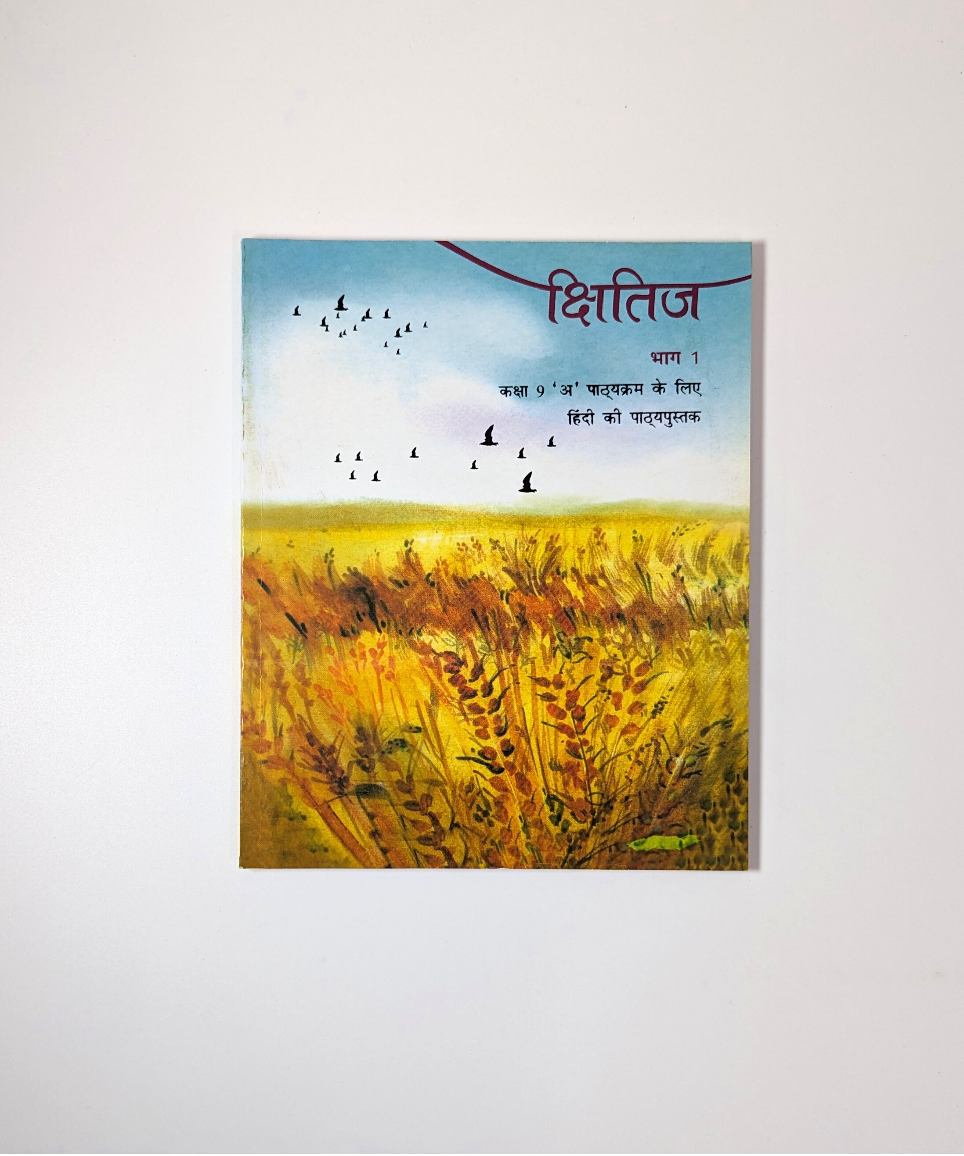 Class IX - Hindi Kshitij - NCERT Textbook